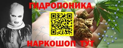 ГАЛЛЮЦИНОГЕННЫЕ ГРИБЫ Конаково