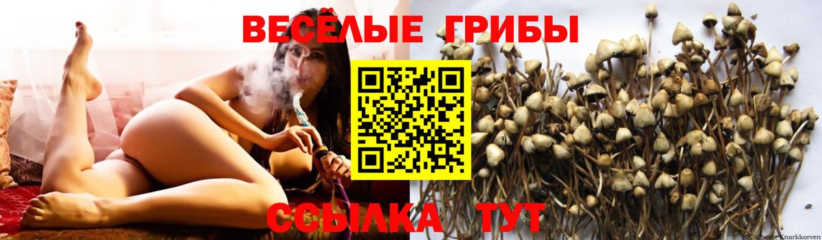 Псилоцибиновые грибы мухоморы Электрогорск